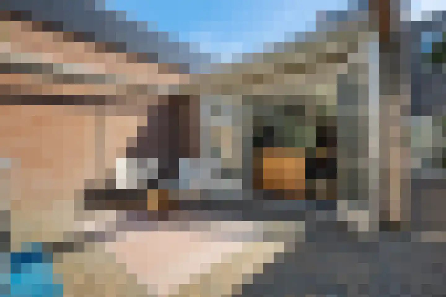 Venestraat 181 A Assen thumbnail 33