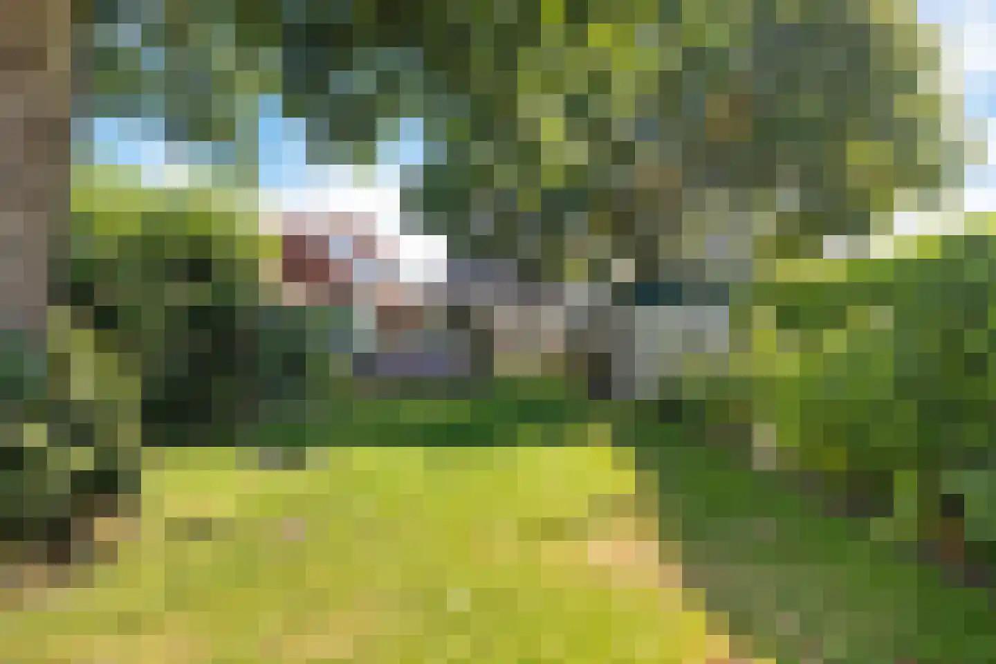 Venestraat 181 A Assen thumbnail 4