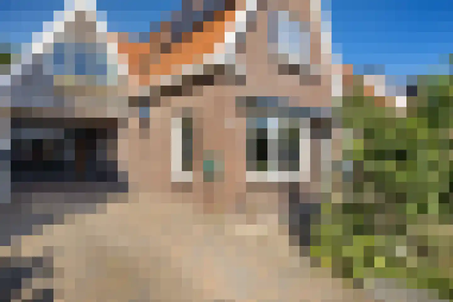 Venestraat 181 A Assen thumbnail 6