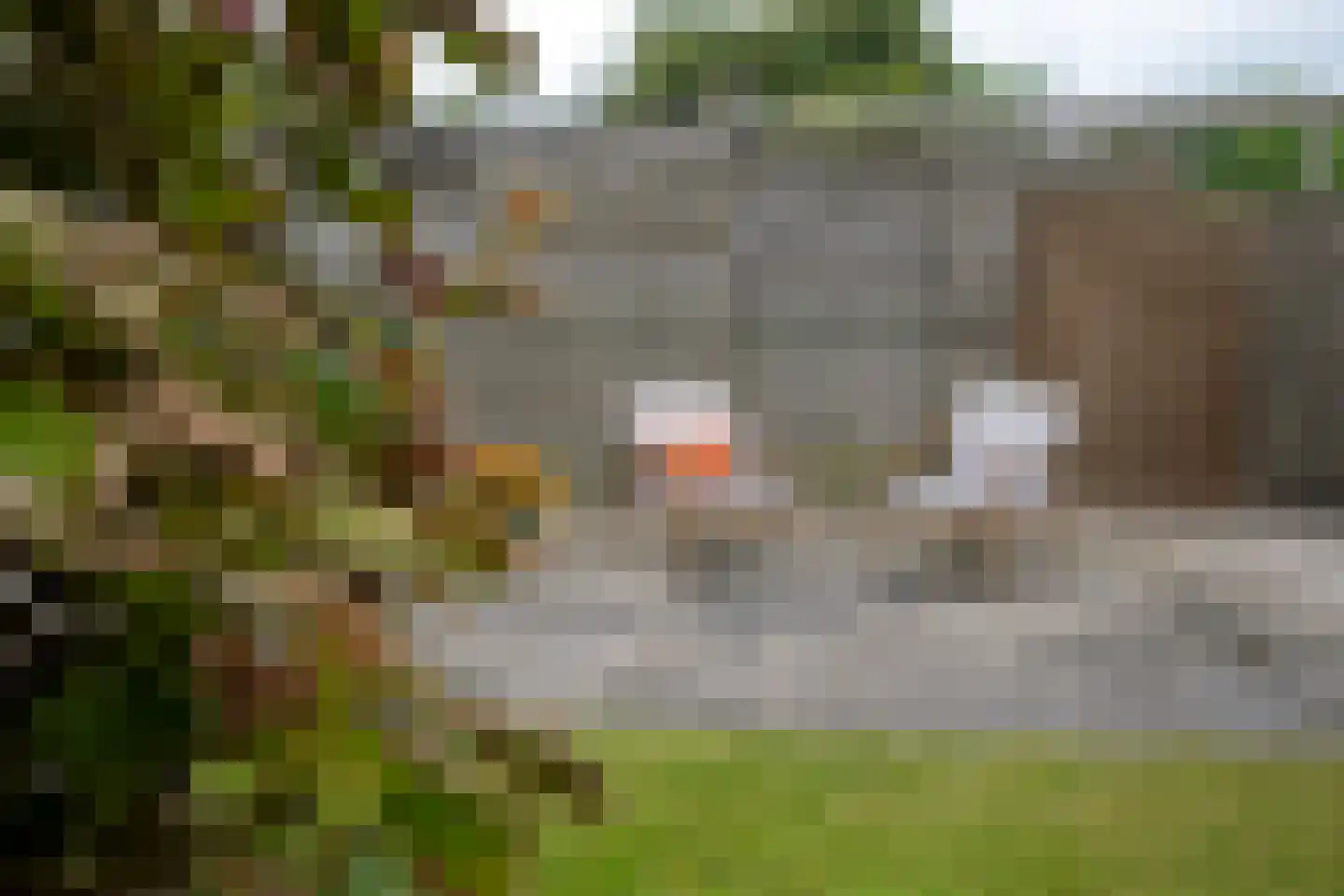 Venestraat 187 Assen thumbnail 48