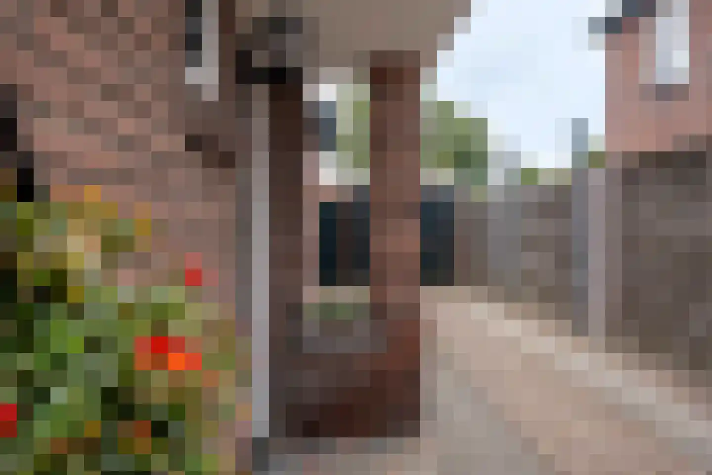Venestraat 187 Assen thumbnail 9