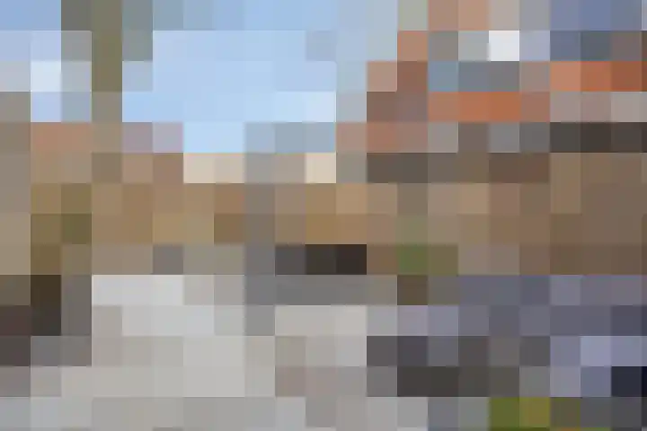 Venestraat 216 Assen thumbnail 33