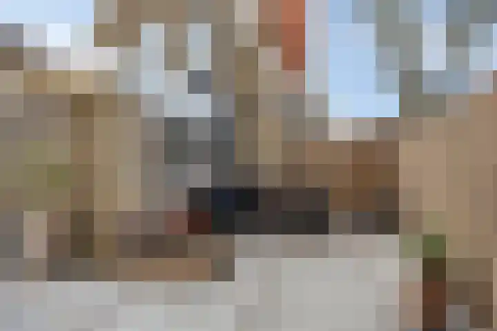 Venestraat 216 Assen thumbnail 38