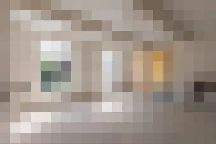 Venestraat 22 Nijkerk thumbnail 39
