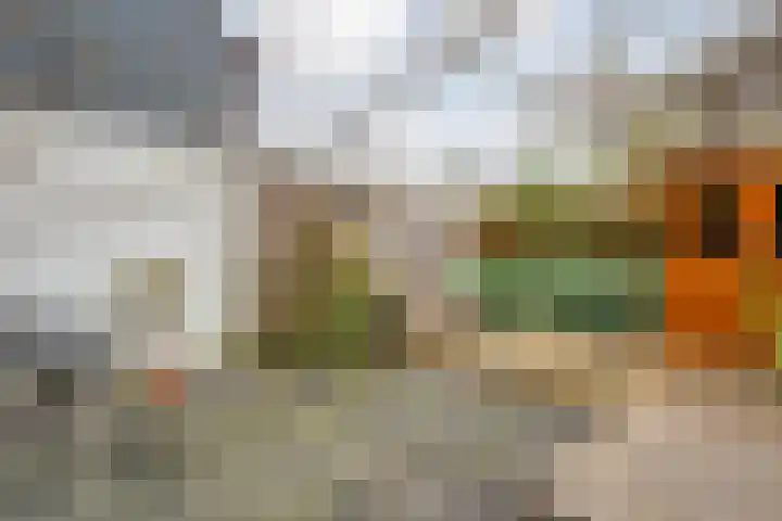 Venestraat 26 Zwolle thumbnail 31