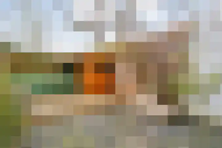 Venestraat 26 Zwolle thumbnail 32
