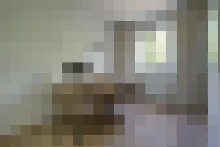 Venestraat 28 Geertruidenberg thumbnail 12