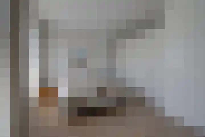 Venestraat 28 Geertruidenberg thumbnail 18
