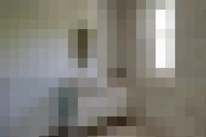 Venestraat 28 Geertruidenberg thumbnail 23