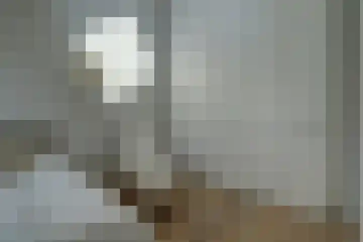 Venestraat 28 Geertruidenberg thumbnail 27