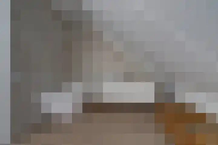 Venestraat 28 Geertruidenberg thumbnail 29