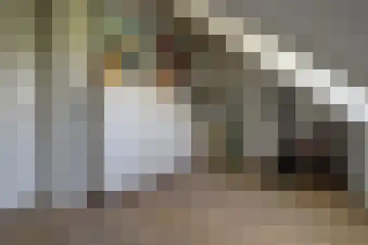 Venestraat 28 Geertruidenberg thumbnail 32