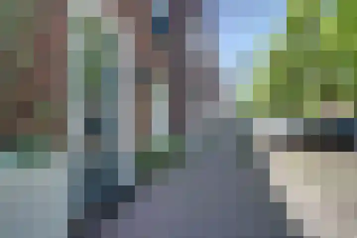 Venestraat 28 Geertruidenberg thumbnail 37