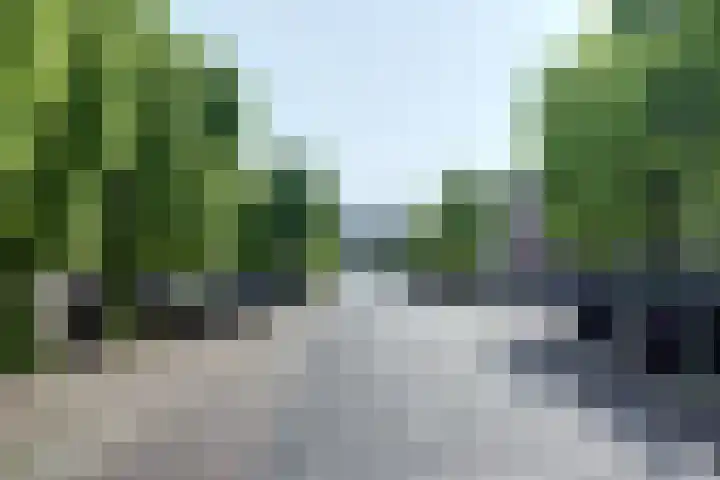 Venestraat 28 Geertruidenberg thumbnail 38