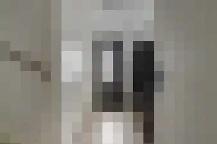 Venestraat 34 Geertruidenberg thumbnail 12