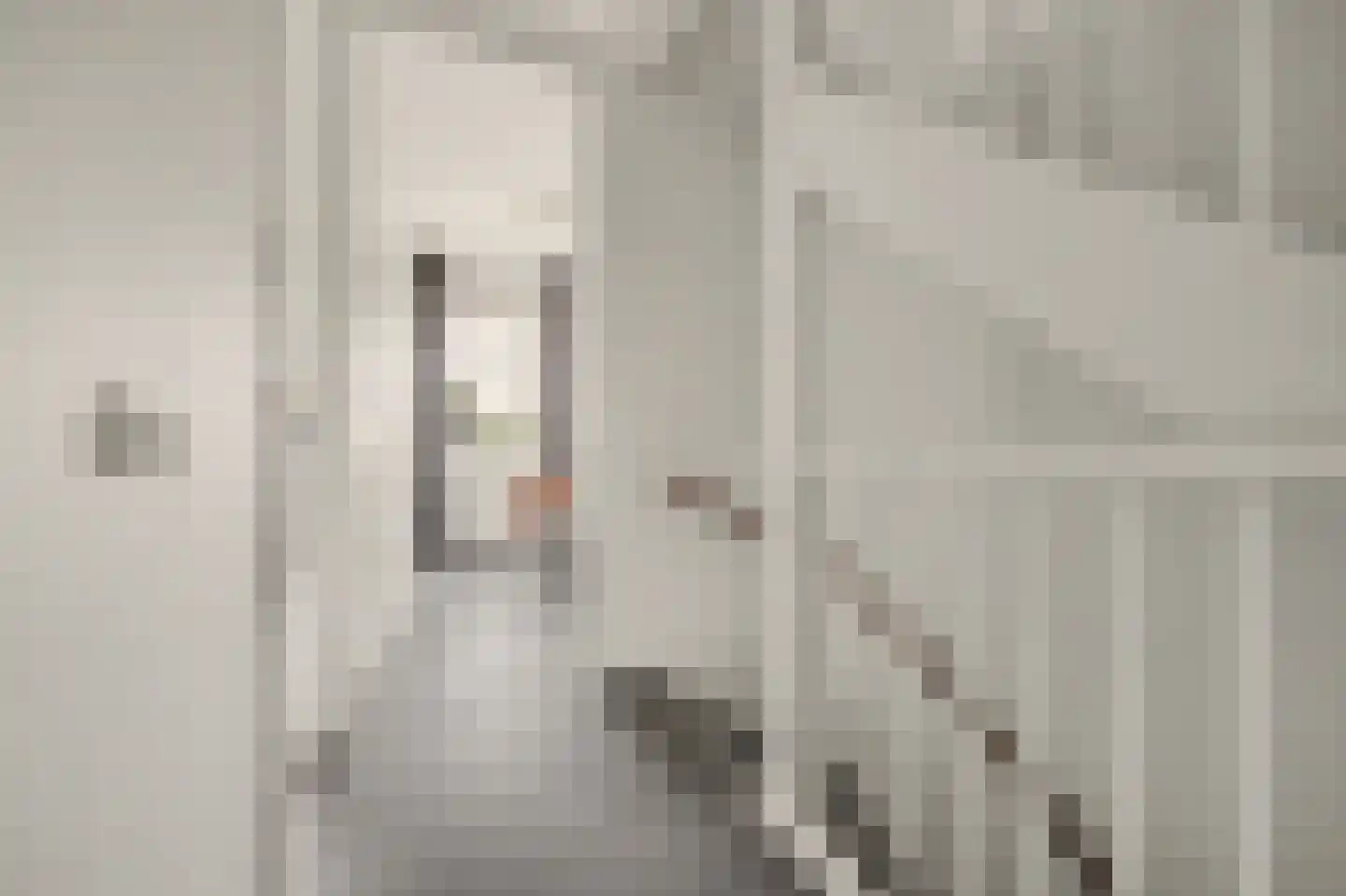 Venestraat 34 Geertruidenberg thumbnail 17