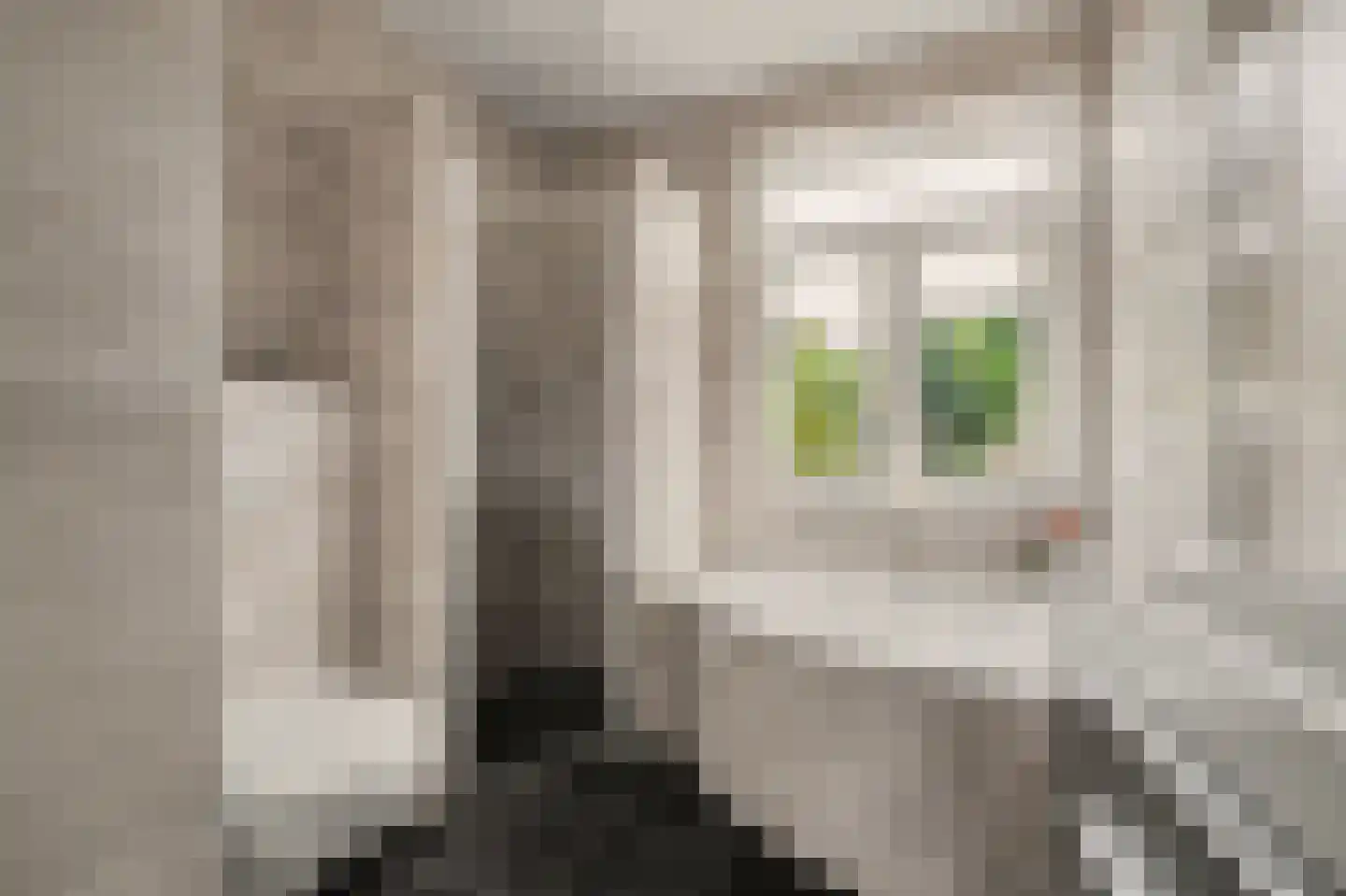 Venestraat 34 Geertruidenberg thumbnail 24