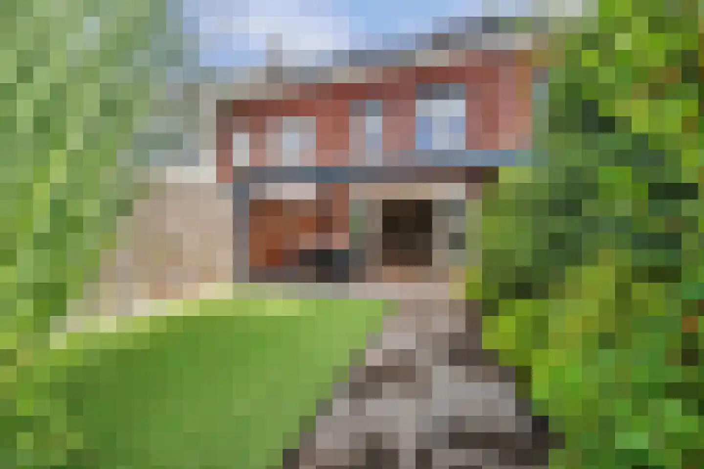 Venestraat 34 Geertruidenberg thumbnail 32