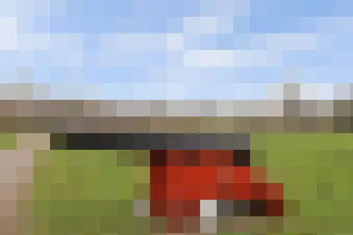 Venestraat 34 Geertruidenberg thumbnail 45