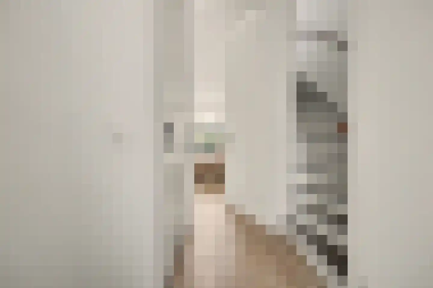 Venestraat 34 Geertruidenberg thumbnail 7
