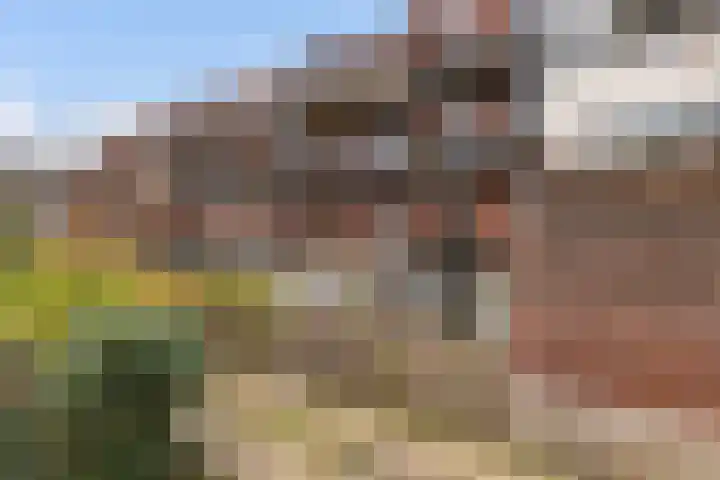 Venestraat 5 A Zwolle thumbnail 30