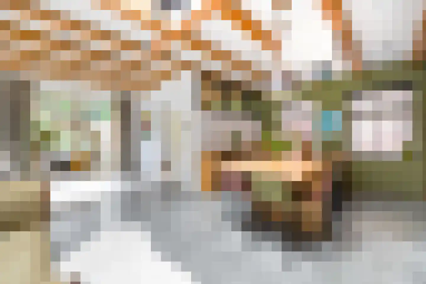 Venestraat 57 Leidschendam thumbnail 13