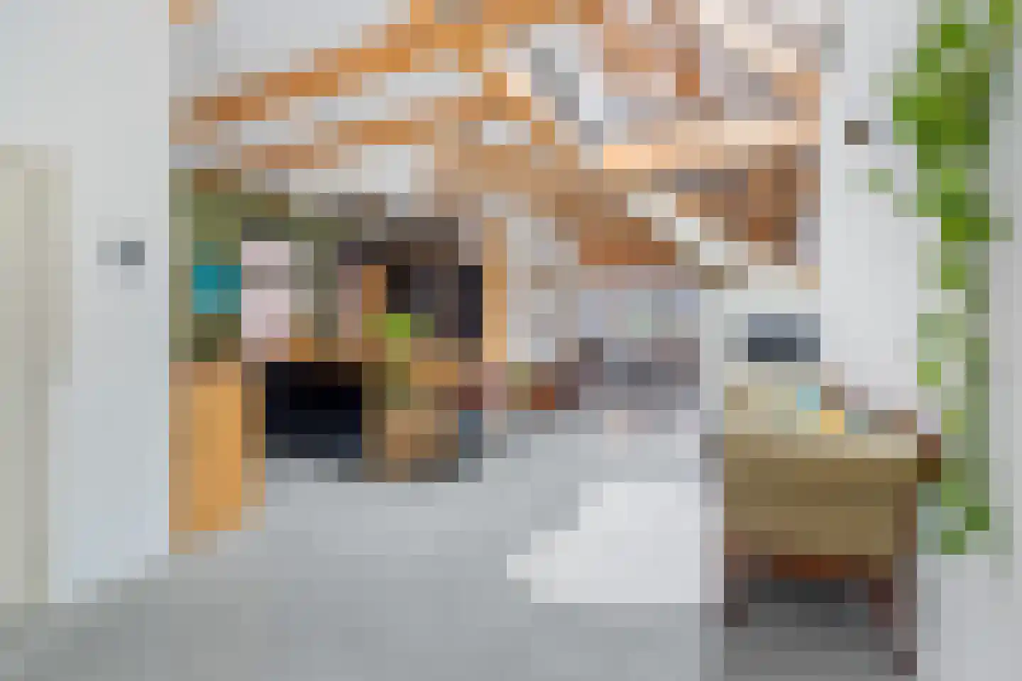 Venestraat 57 Leidschendam thumbnail 4