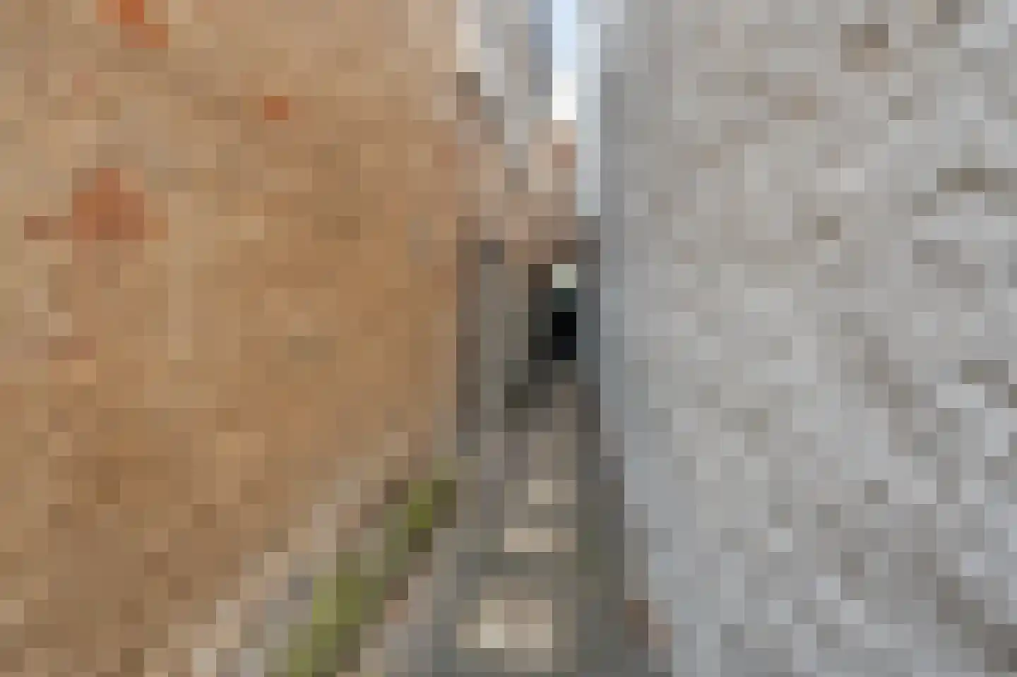 Venestraat 7 B Kampen thumbnail 10