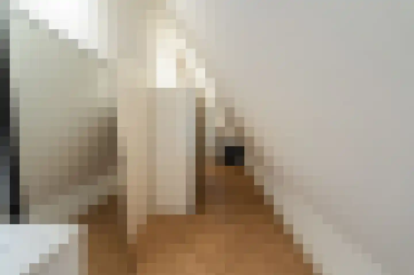 Venestraat 7 B Kampen thumbnail 23