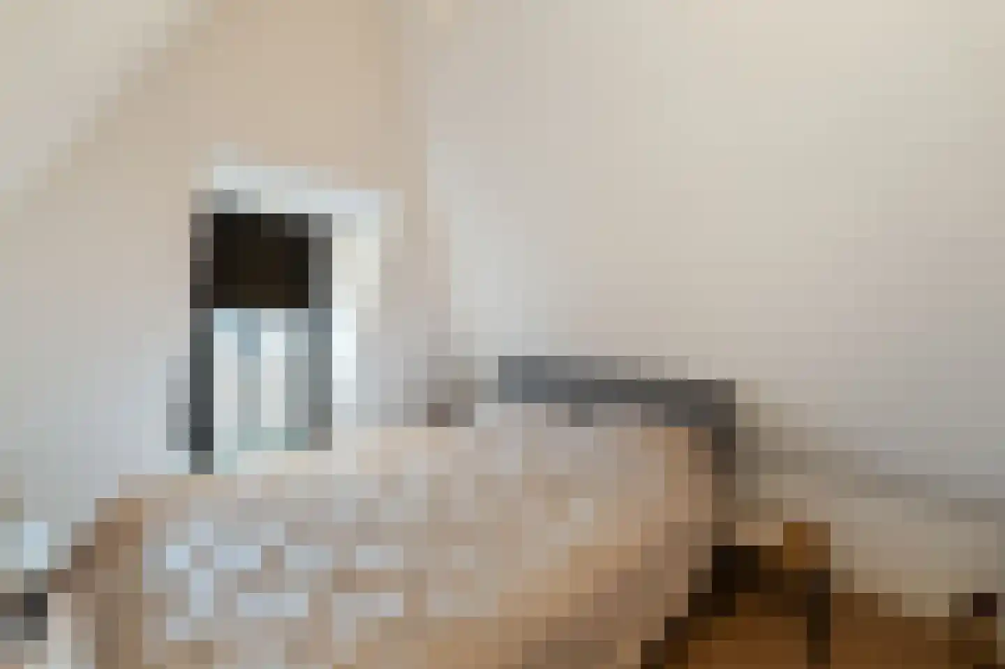 Venestraat 7 B Kampen thumbnail 30