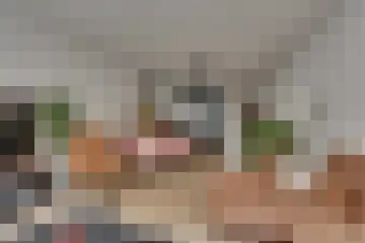 Venestraat 7 Kampen thumbnail 17
