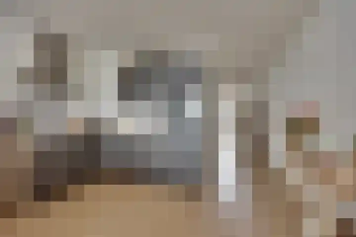 Venestraat 7 Kampen thumbnail 20