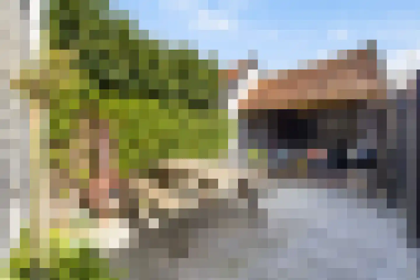 Venestraat 82 Nijkerk thumbnail 4