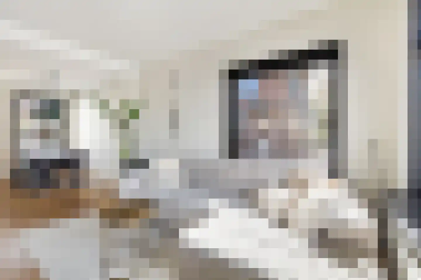 Venestraat 82 Nijkerk thumbnail 7
