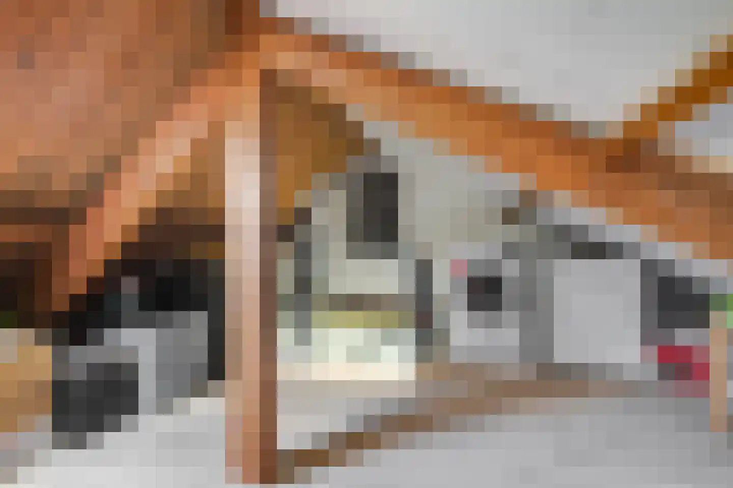 Venestraat 97 Leidschendam thumbnail 18