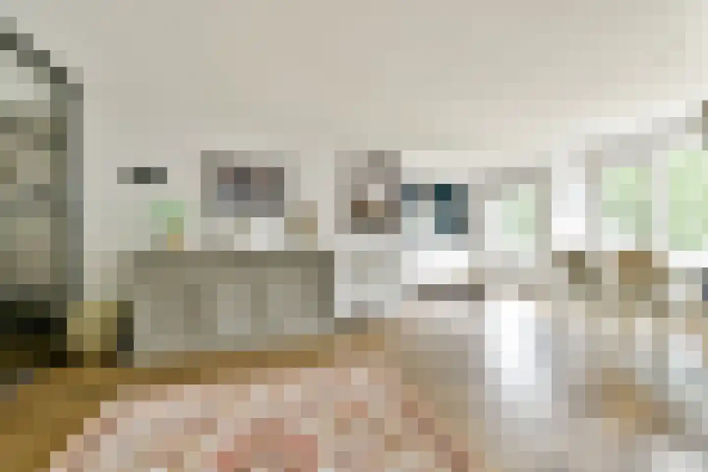 Venetiëhof 99 Amsterdam thumbnail 6