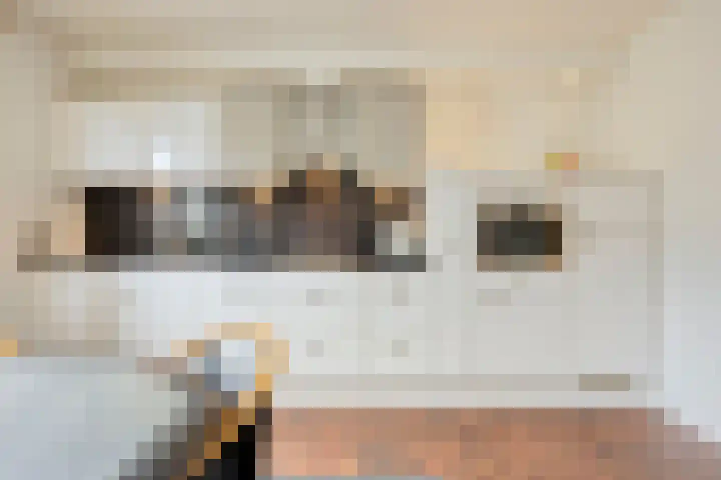 Venetiëstraat 31 Eindhoven thumbnail 12