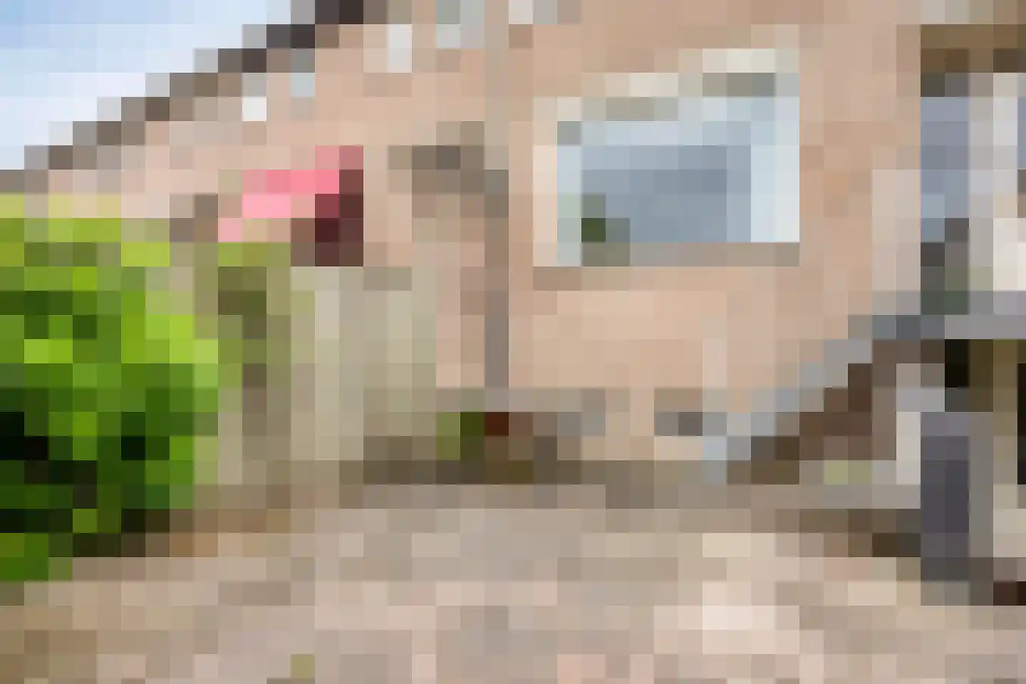 Venetiëstraat 31 Eindhoven thumbnail 37