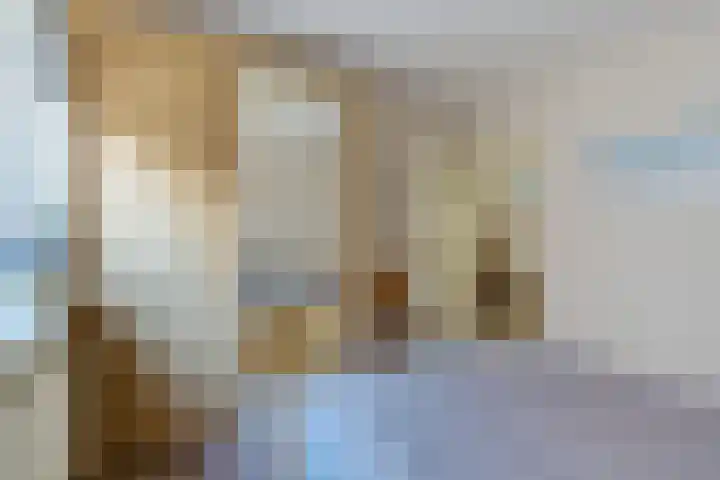 Venetolaan 12 Oldenzaal thumbnail 15