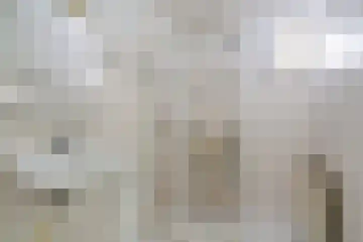 Venetolaan 12 Oldenzaal thumbnail 16