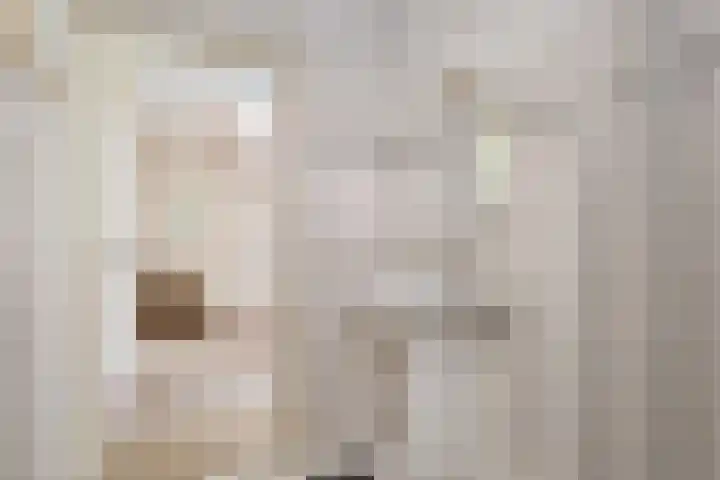 Venetolaan 12 Oldenzaal thumbnail 17