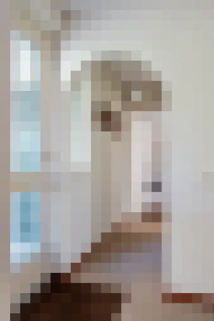 Venetolaan 12 Oldenzaal thumbnail 20