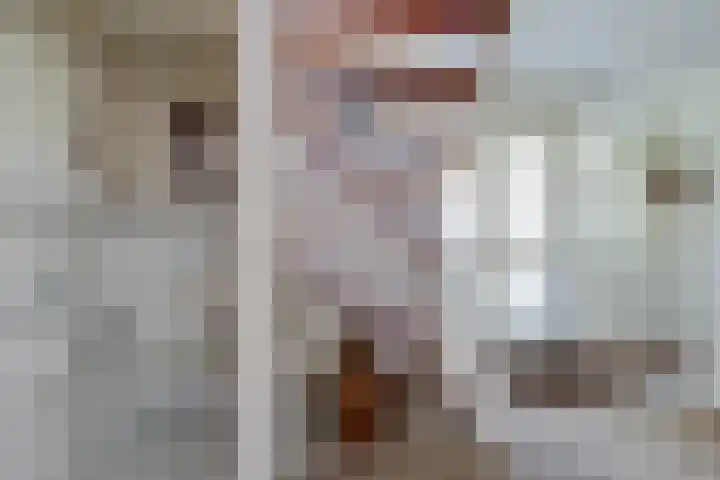 Venetolaan 12 Oldenzaal thumbnail 21