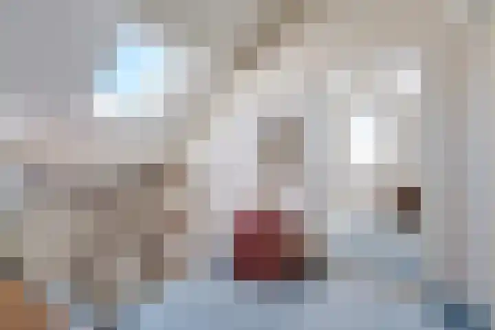 Venetolaan 12 Oldenzaal thumbnail 22