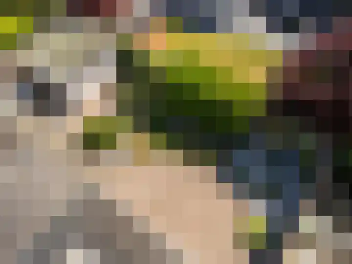 Venetolaan 12 Oldenzaal thumbnail 33