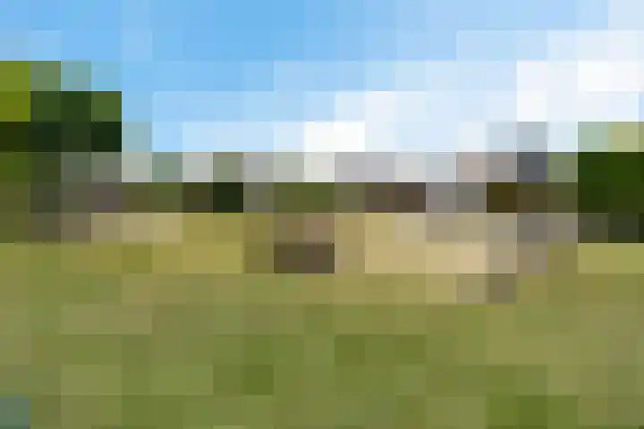 Venetolaan 12 Oldenzaal thumbnail 37