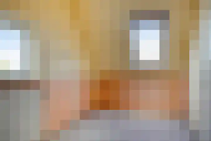 Venetolaan 5 Oldenzaal thumbnail 18