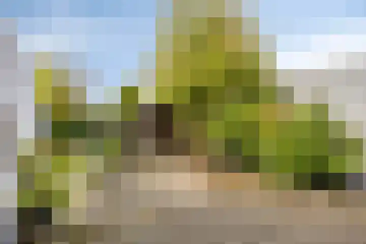 Venetolaan 5 Oldenzaal thumbnail 23