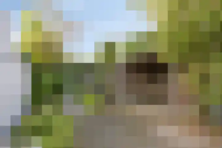 Venetolaan 5 Oldenzaal thumbnail 24
