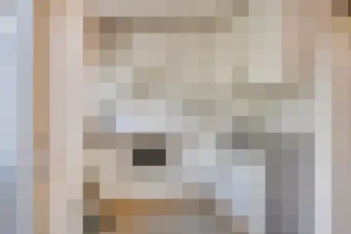 Venetolaan 5 Oldenzaal thumbnail 8